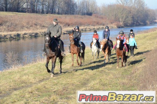 Přijímáme nové členy do Pony týmu – fotografie 4