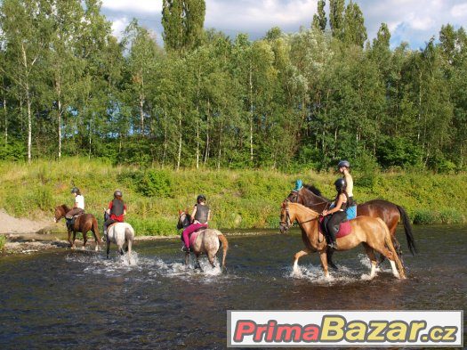 Přijímáme nové členy do Pony týmu – fotografie 5