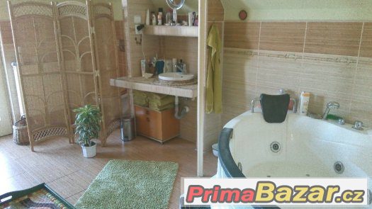 Milenecký azyl - privát, Mělník - Praha 30km – fotografie 5