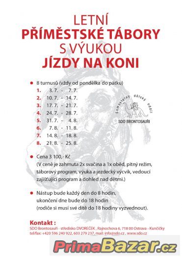Prázdninové táborové pobyty u koní – fotografie 1
