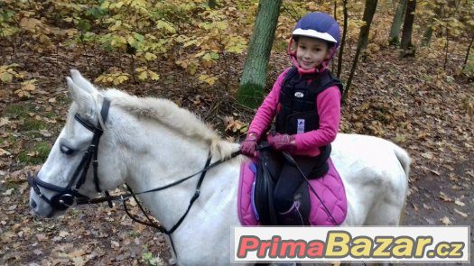 Poloviční pronájem  poníka – fotografie 1