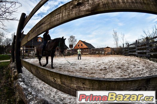 Ustájení – fotografie 3