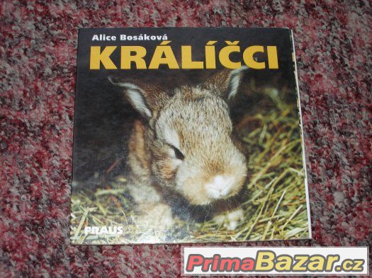 Nová dětská leporela – fotografie 5