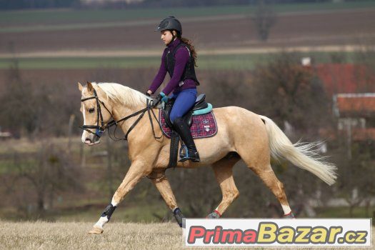 luxusní pony pro náročné – fotografie 4