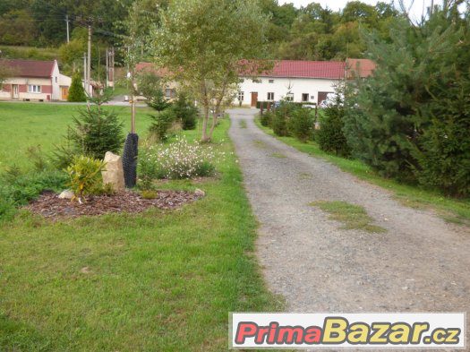 brigáda - dlouhodobá u koní – fotografie 1