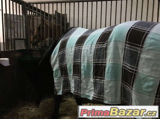 Vyměním odpocovací deku Iceblue a Mint za jinou velikost – fotografie 2