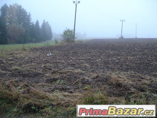 Pozemek - Jílové u Držkova – fotografie 4