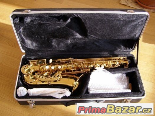 Prodám Alt saxofón Startone / C.Giant - celý set – fotografie 1