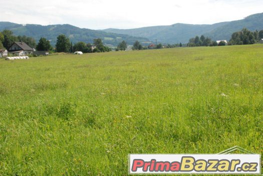 Prodej Stavební pozemek, 4.168 m2, Ropice – fotografie 4