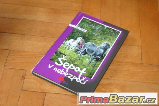 Šepot v nebezpečí - Angela Dorsey – fotografie 1