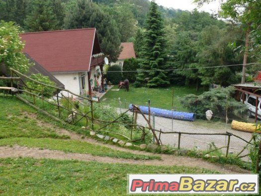 Psí školka - chovatelská stanice Vetřelec – fotografie 3
