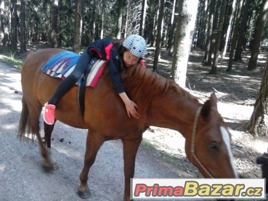 PŘÍMĚSTSKÝ TÁBOR – fotografie 5