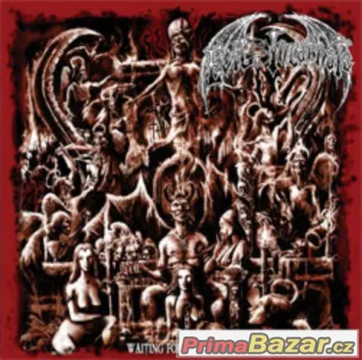 Evil Incarnate ‎– Waiting For His Return 2005