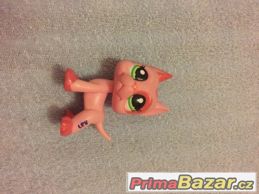 LPS DOGY PRODÁM SPĚCHÁ – fotografie 3