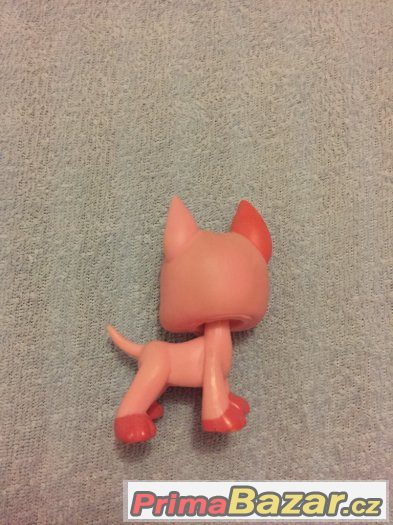 LPS DOGY PRODÁM SPĚCHÁ – fotografie 4
