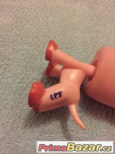LPS DOGY PRODÁM SPĚCHÁ – fotografie 5