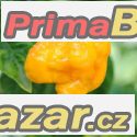 Chilli Trinidad Scorpion yellow - semena 23,- Kč – fotografie 1