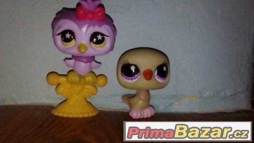 LPS ptáčci – fotografie 2