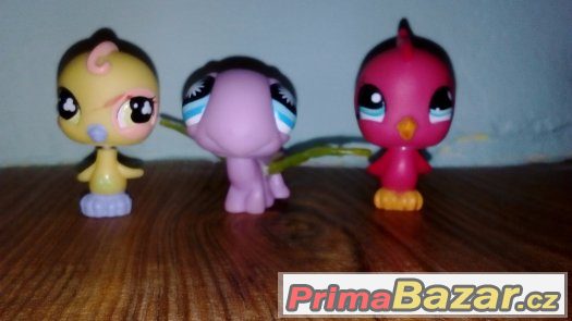 LPS ptáčci – fotografie 3