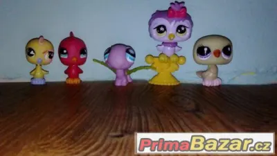 LPS ptáčci