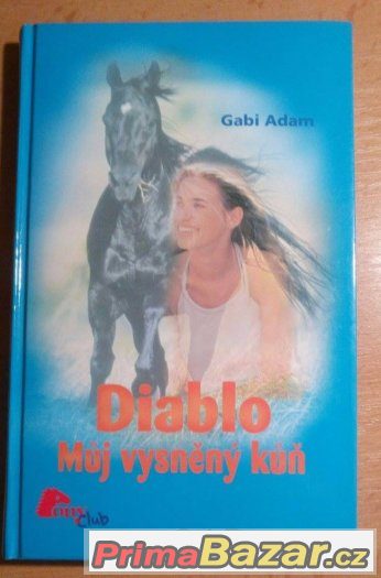 DIABLO - Můj vysněný kůň – fotografie 1