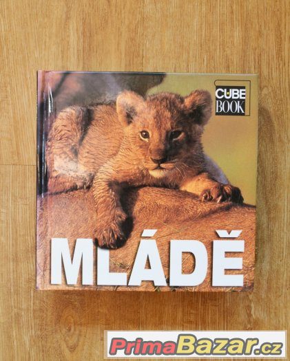 MLÁDĚ – fotografie 1