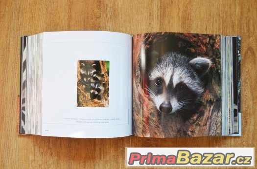 MLÁDĚ – fotografie 2