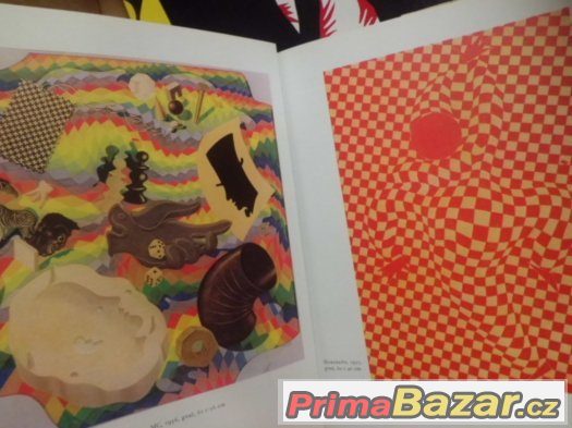 dvě staré  knihy  o malířích - Matisse, Vasarely – fotografie 3