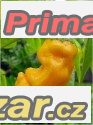 Chilli Pepper peter yellow - semena – fotografie 1