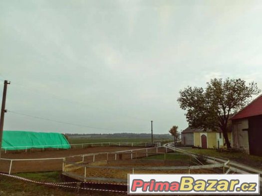 Ustájení Praha-západ- Holubice – fotografie 3