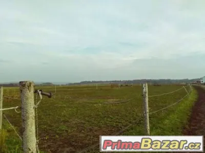 Ustájení Praha-západ- Holubice
