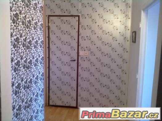 Prodam byt 2+kk NOVA CENA 199000 z (270000) – fotografie 5