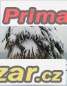 Trachycarpus Fortunei - naklíčená semena – fotografie 1