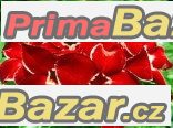 Adenium Dragon siam - semena – fotografie 1