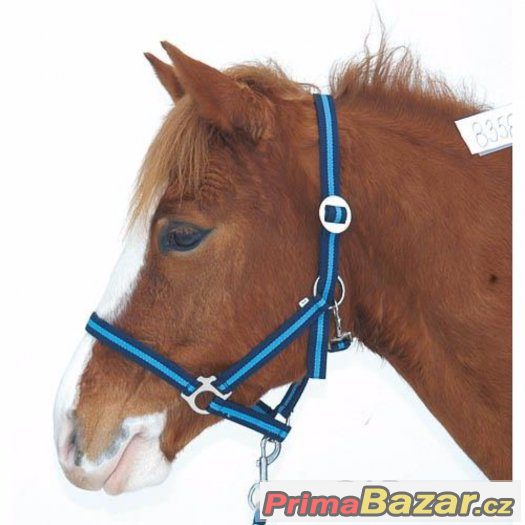 Modrá ohlávka pony/cob – fotografie 2
