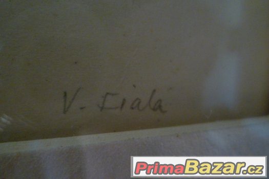 Obraz Cikáni Fiala – fotografie 3