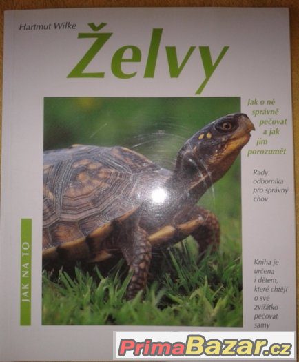 Želvy - jak o ně správně pečovat a jak jim porozumět – fotografie 1