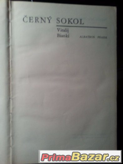 Černý sokol – fotografie 4