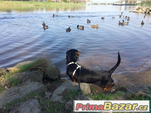 Zorinka – fotografie 4