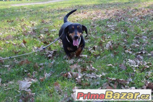 Zorinka – fotografie 5