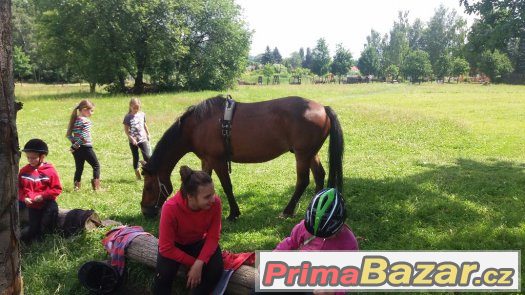 Příměstský tábor u koní 2017 – fotografie 1