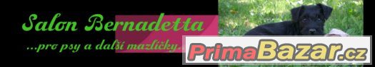 Salon Bernadetta- pro psy a další mazlíčky- Svitavy – fotografie 1