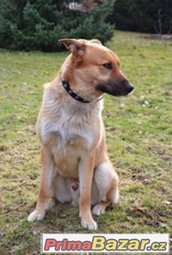 Lucky – fotografie 2