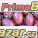Rajče Purple Rusian plum - semena 14,- Kč – fotografie 1