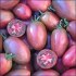 Rajče Purple Rusian plum - semena 14,- Kč