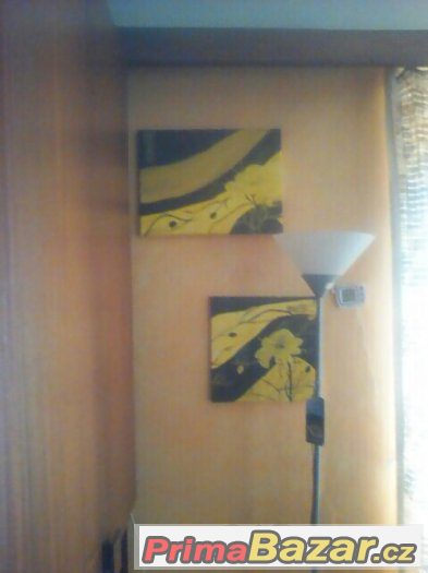 original obrazky a obrazi cenu nabidnete. – fotografie 1