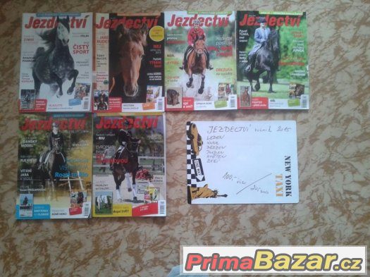 jezdectví + koně a hříbata – fotografie 1