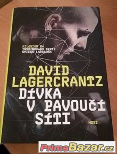 Dívka v pavoučí síti NOVÁ – fotografie 1