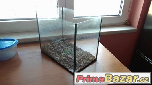 Prodam akvarium – fotografie 1