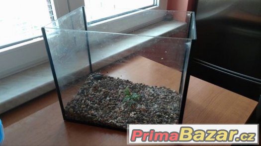 Prodam akvarium – fotografie 2